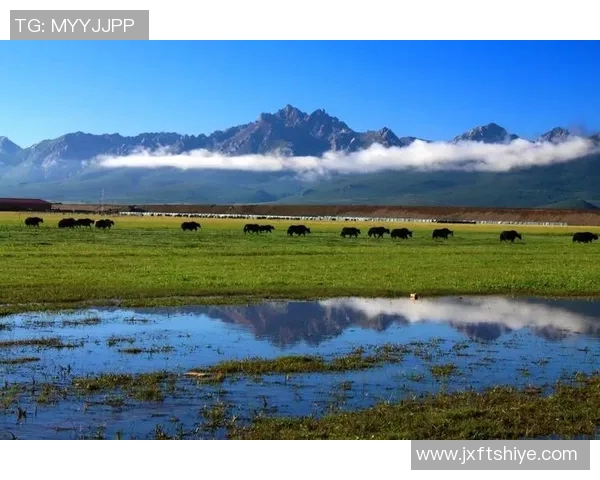青海果洛足球球星成长历程与草原精神融合展现精彩人生