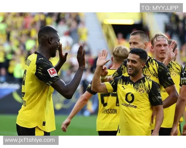 多特蒙德足球明星们的成长之路与辉煌成就解析